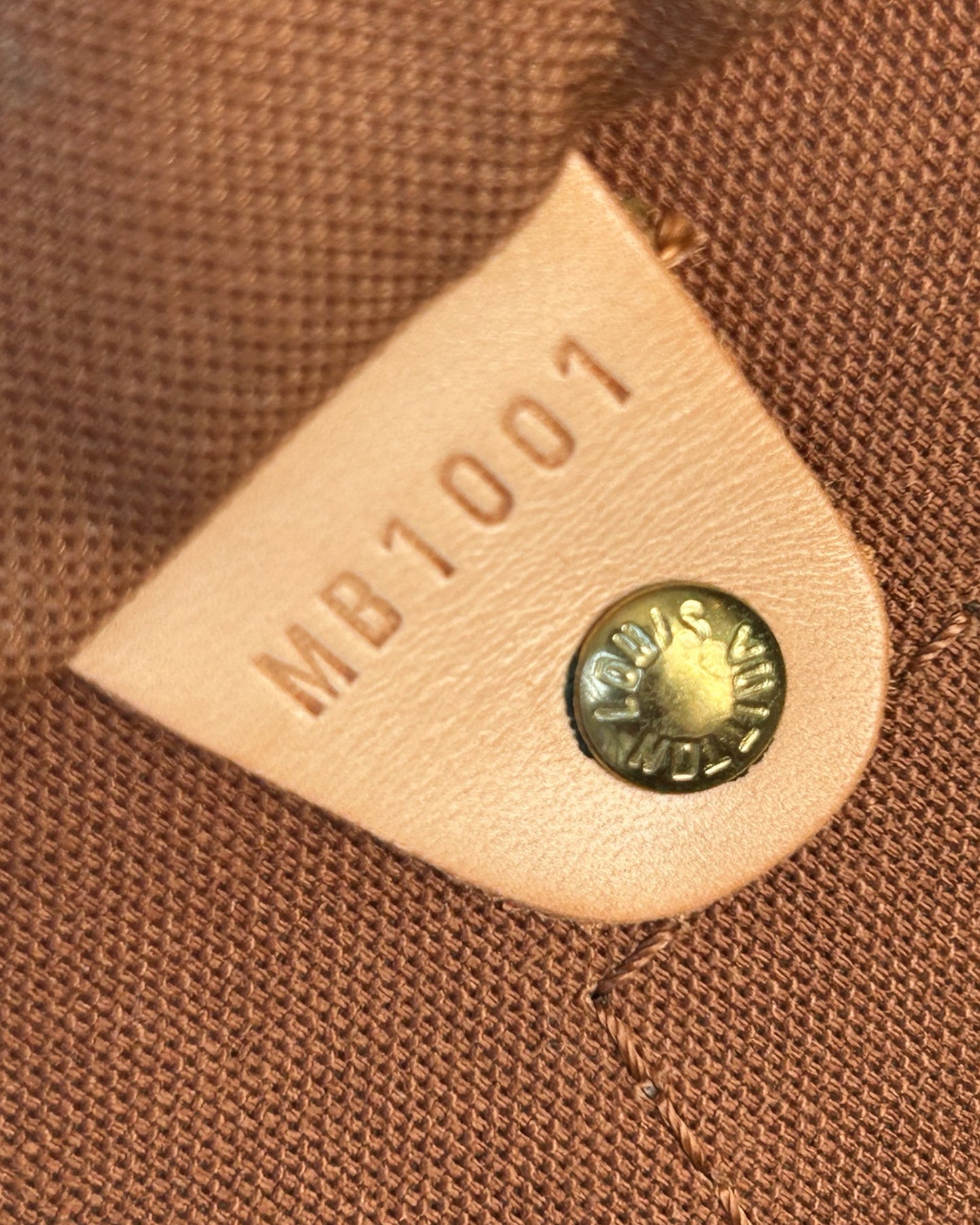 Louis Vuitton Speedy 35 Canvas Monogram