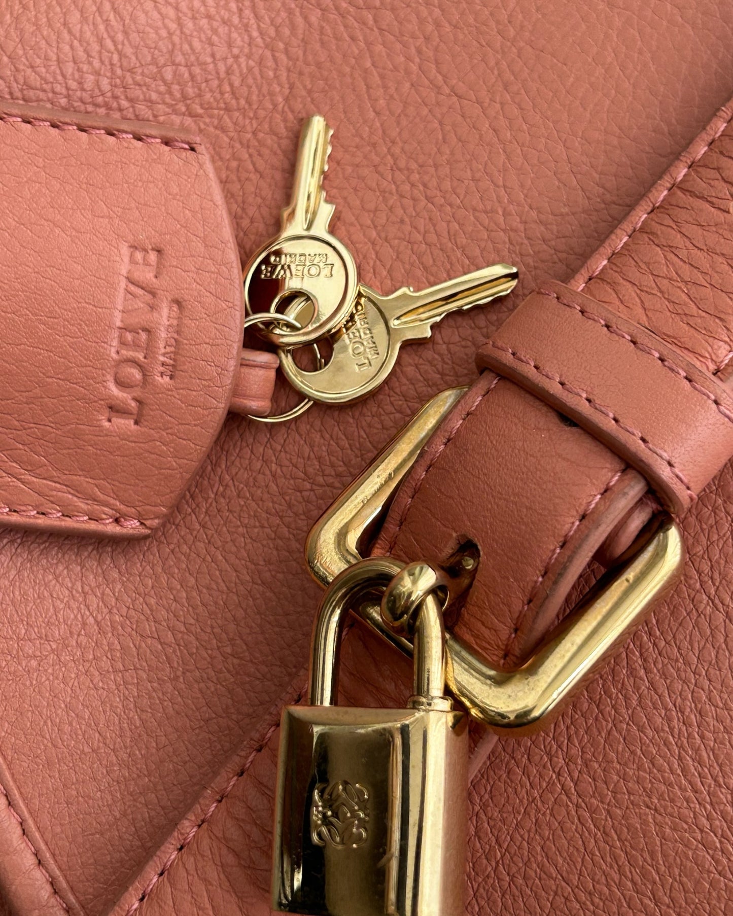 Loewe crossbody Bag hardwear details