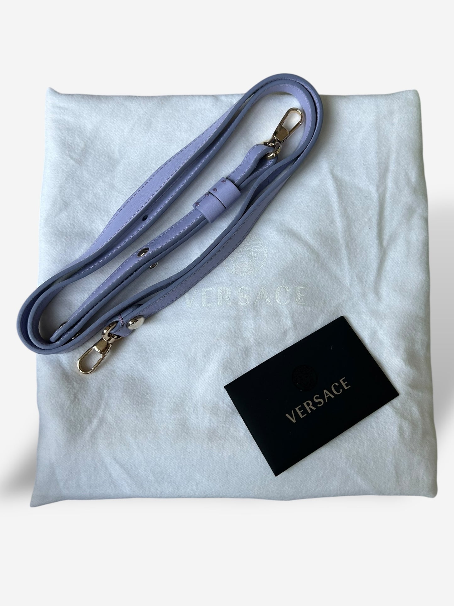Versace 2012 Runway collection