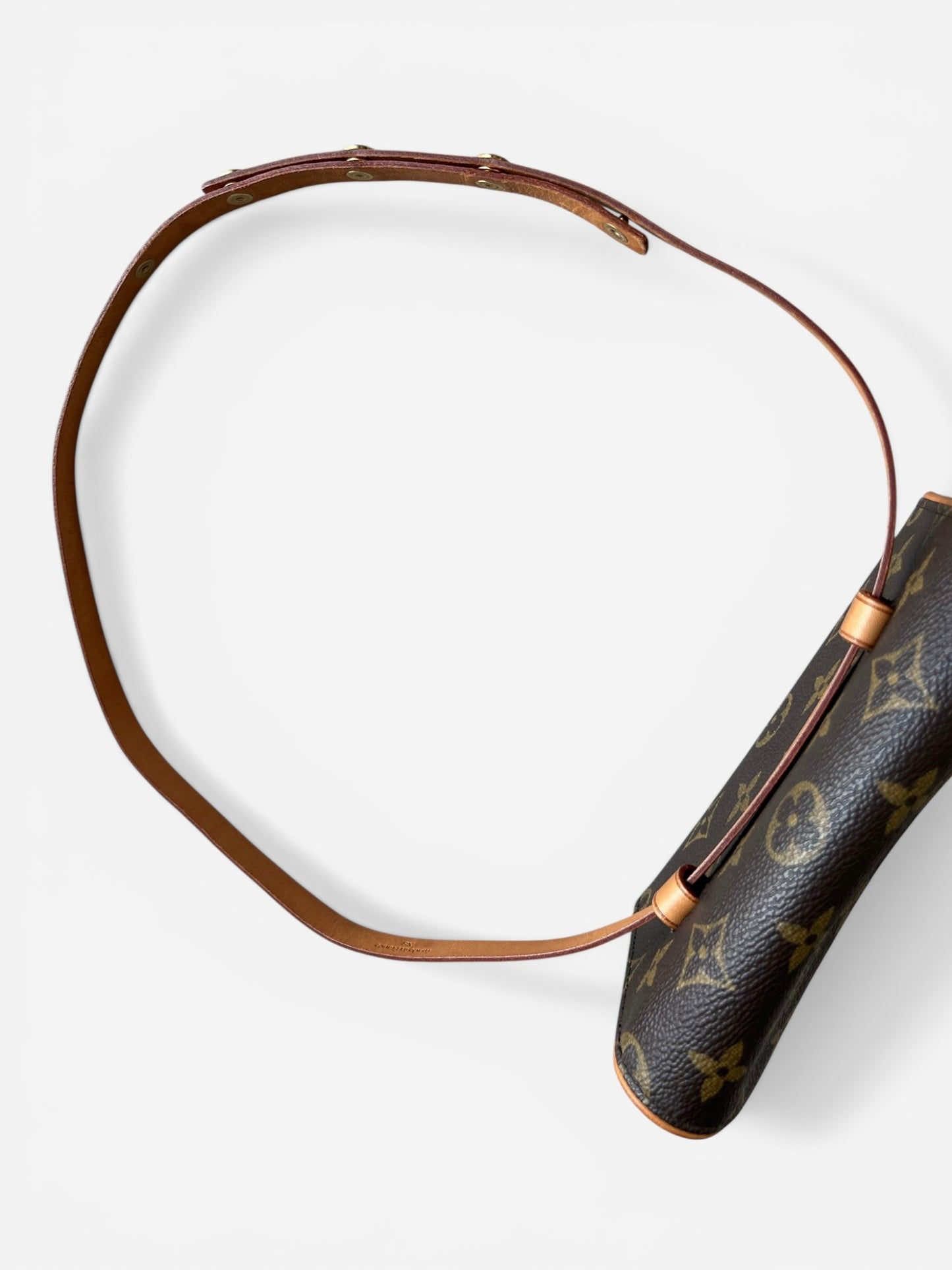 Louis Vuitton Monogram Florentine Belt Bag