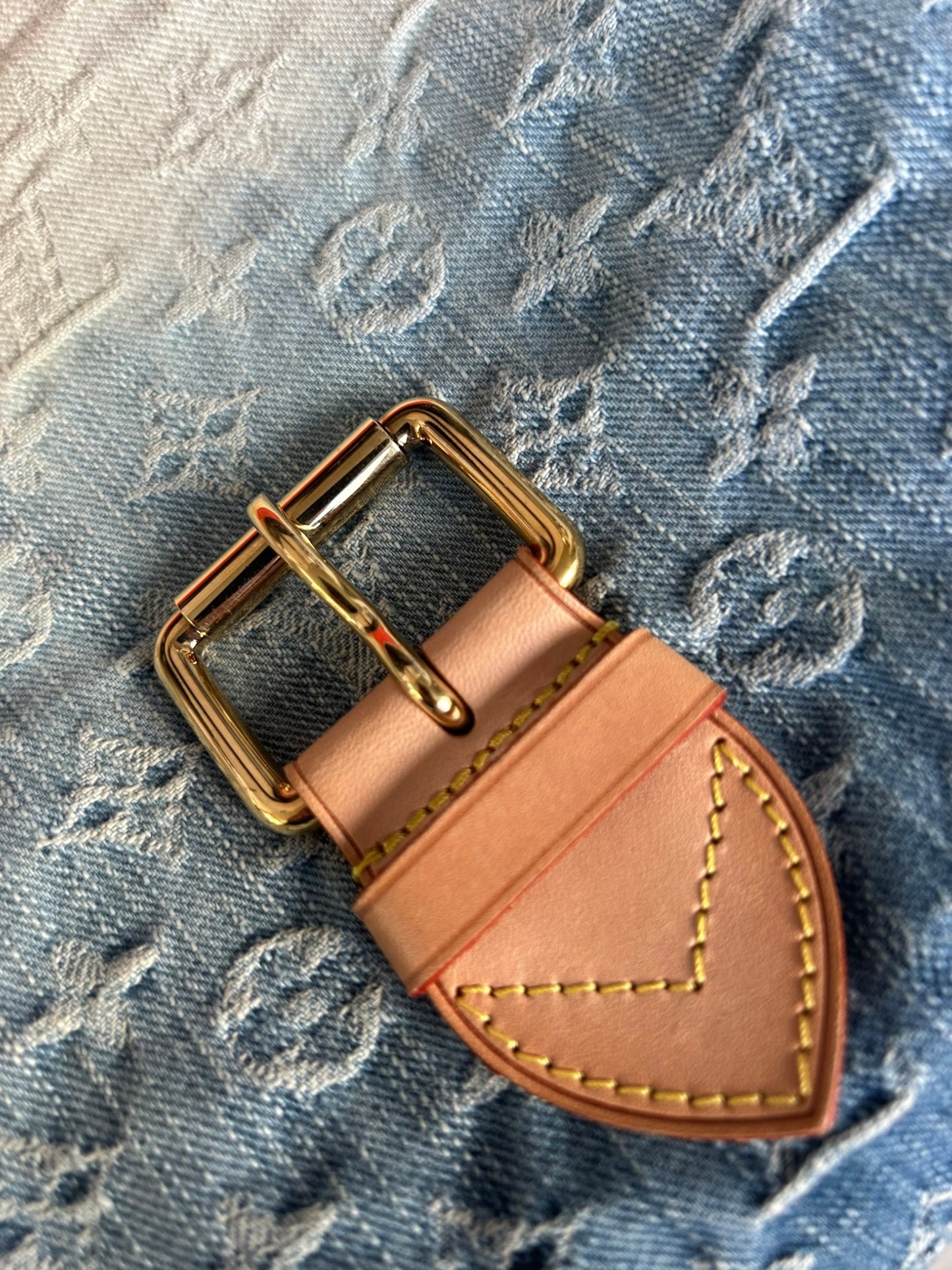 Louis Vuitton Sunshine bag