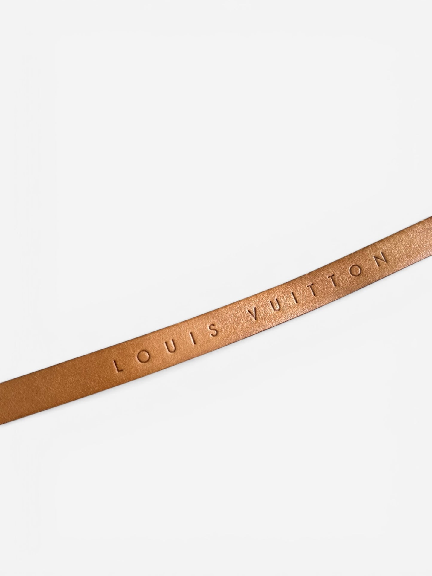 Louis Vuitton Monogram Florentine Belt Bag
