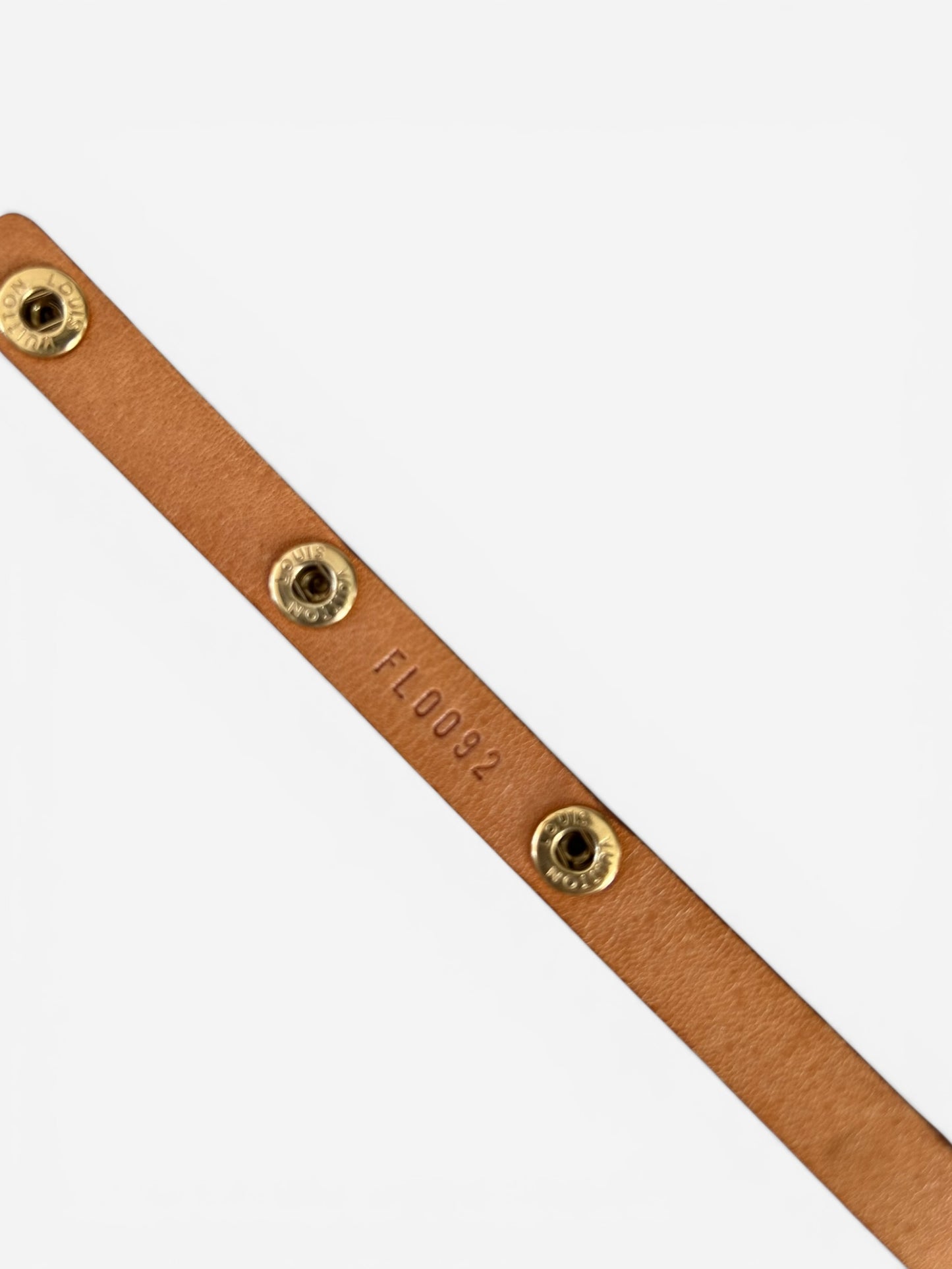 Louis Vuitton Monogram Florentine Belt Bag
