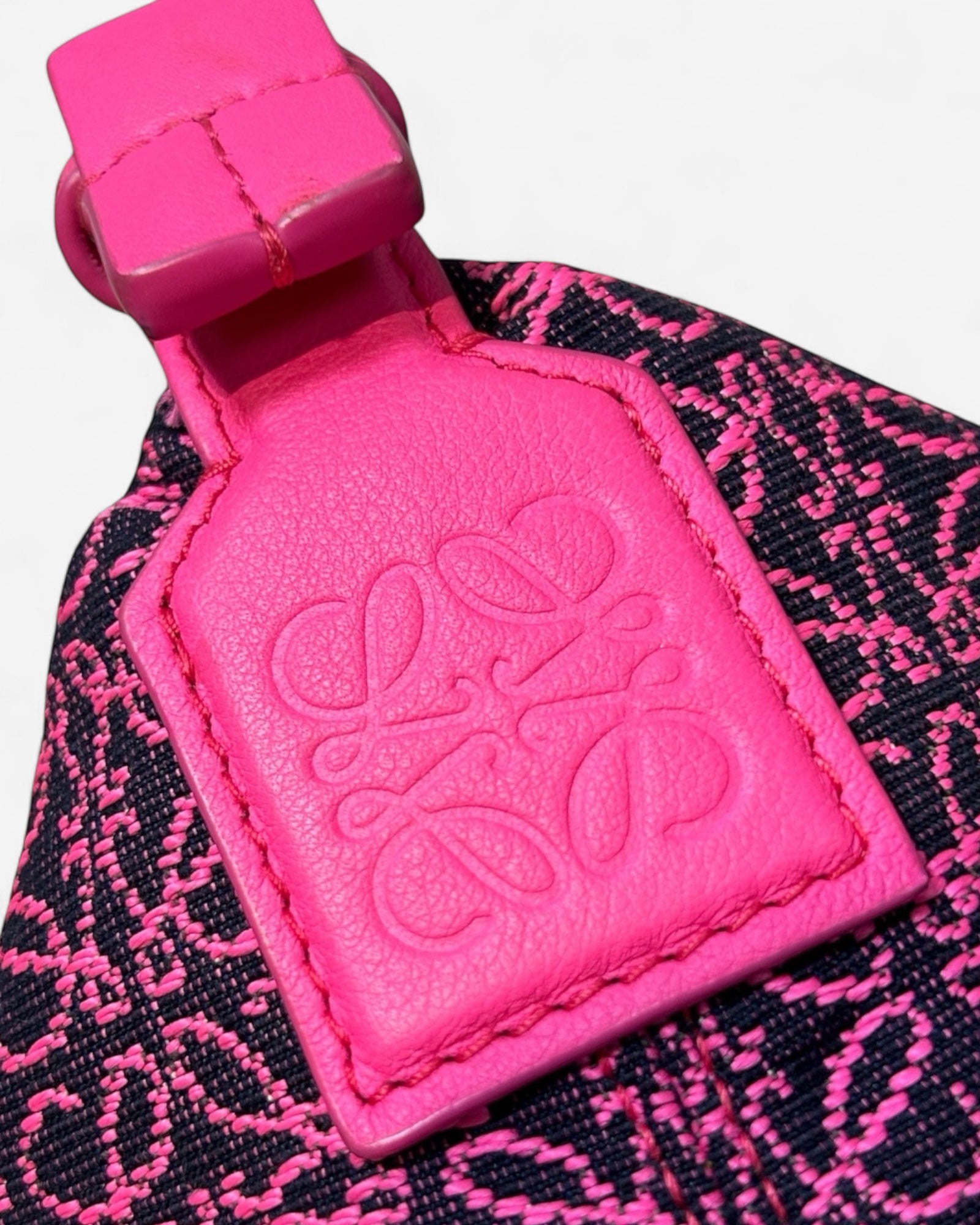 Loewe Cubi Bag close-up logo