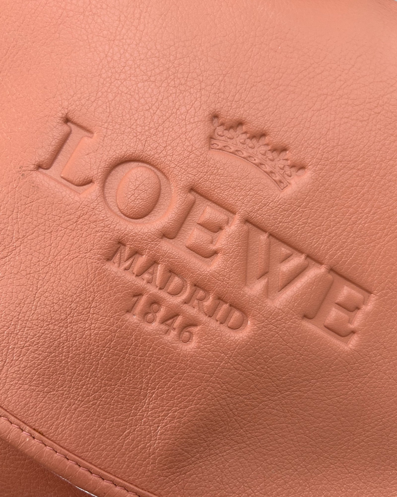 Loewe crossbody Bag logo details
