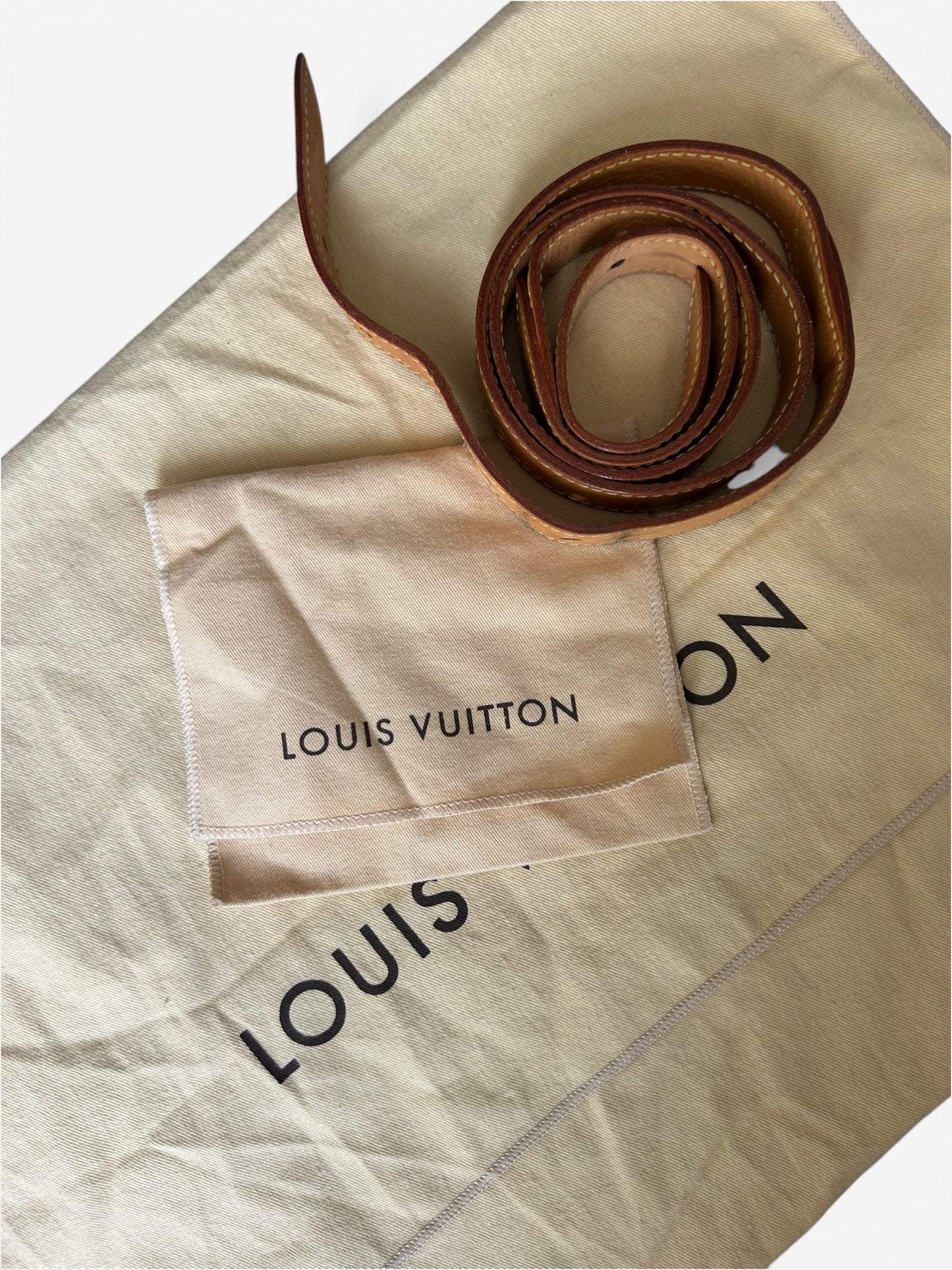Louis Vuitton Baggy - Denim