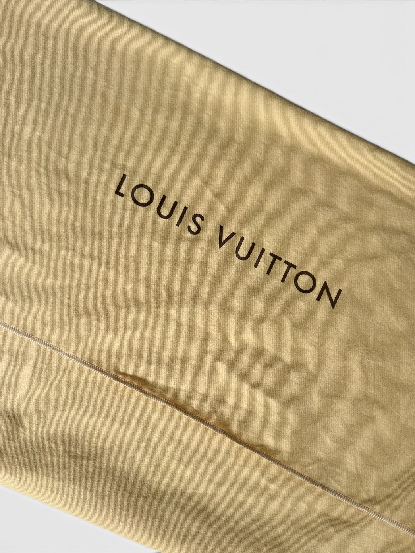 Louis Vuitton baggy - Blue Denim