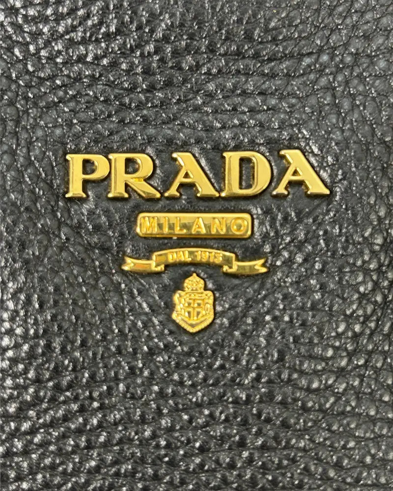 Prada Vitello Diano Bag logo details